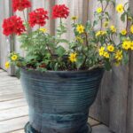 pottery planter