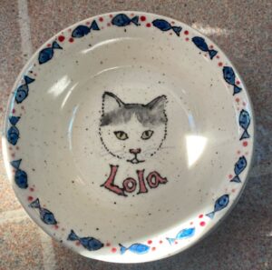 cat bowl